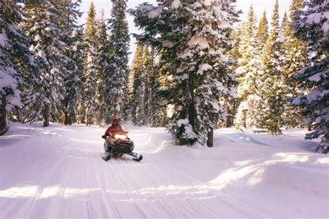 best snowmobile compression tester|The Ultimate Guide To Checking Compression On Your .